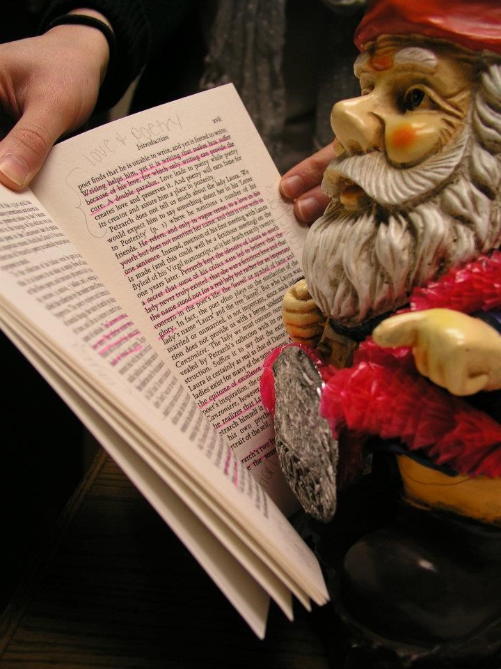 library gnome reading and dressed up