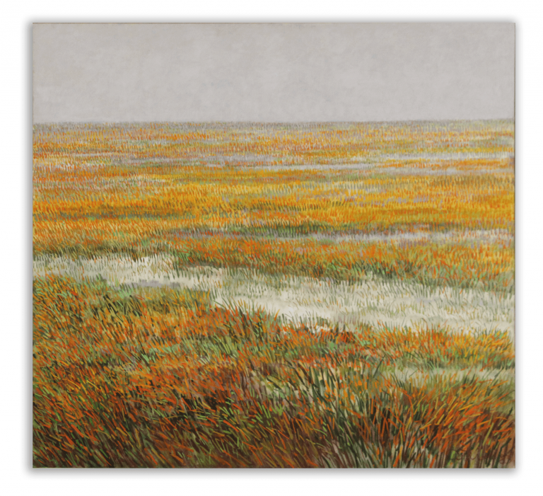 Wetlands