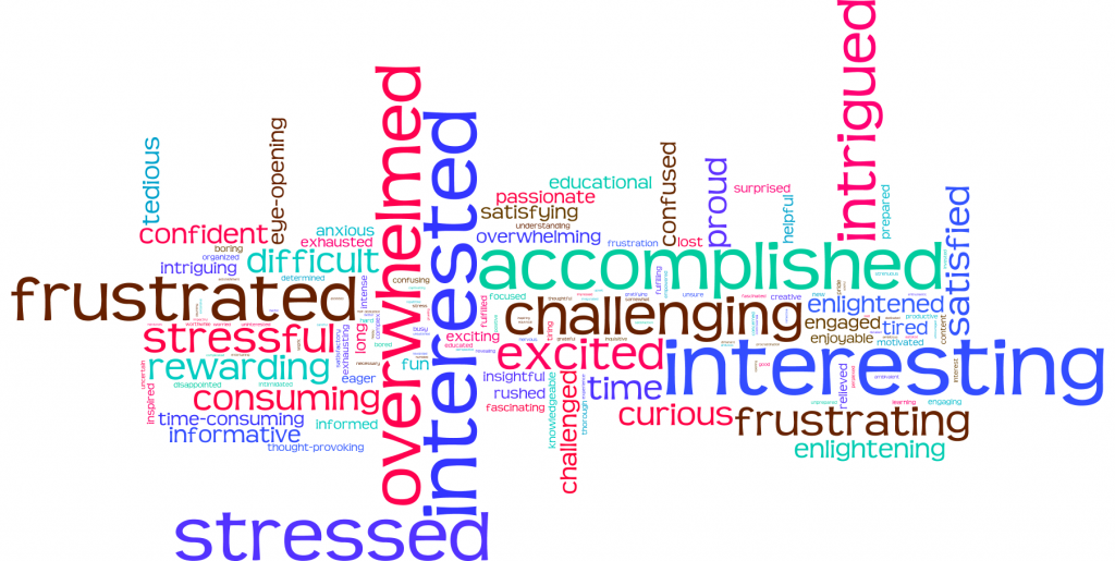 Wordl Cloud of Student's Feelings about Research