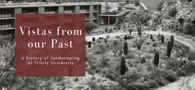 Vistas from our Past: a History of Landscaping at Trinity University