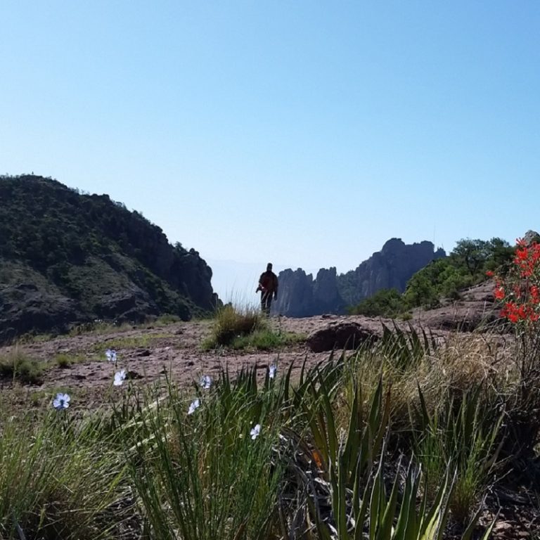 Person walking in desert